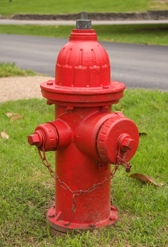 Hydrant in Use